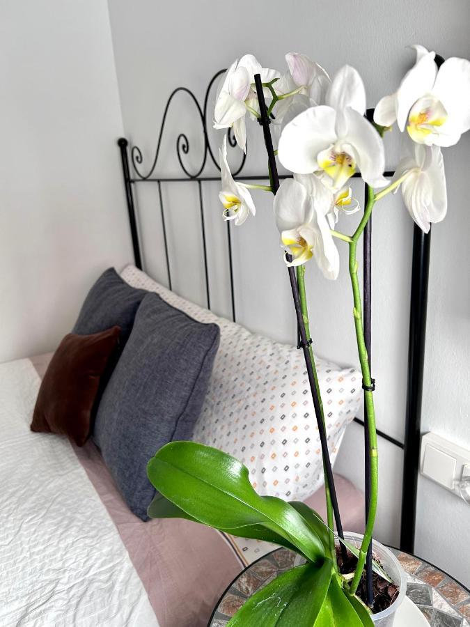 La Caracola Apartment